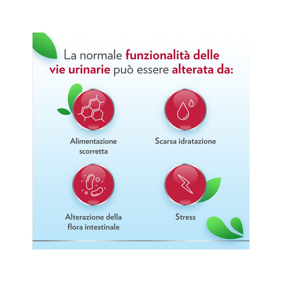 Gyno-CanesCystil Integratore Alto Dosaggio di D-Mannosio per Benessere Delle Vie Urinarie 14 bustine