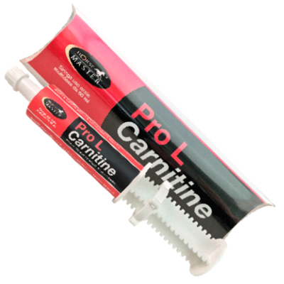 Pro L-Carnitine Mangime Complementare Per Equini Sportivi 60ml