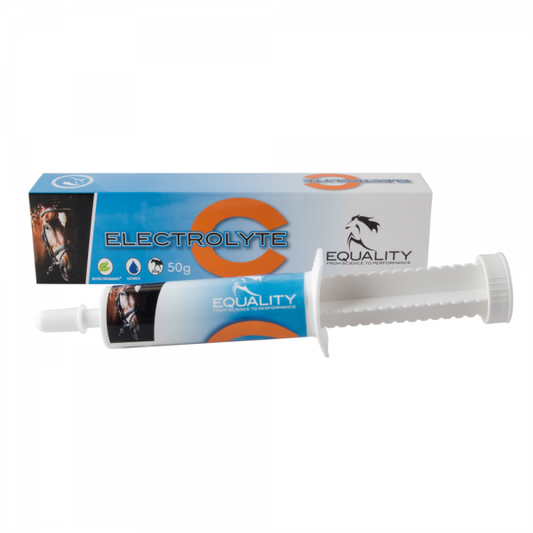 Electrolyte C Pasta Orale Per Equini 50g