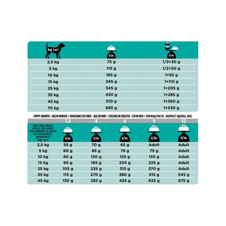 Purina Pro Plan Veterinary Diets Secco Cane EN Gastrointestinal Sacco 5kg