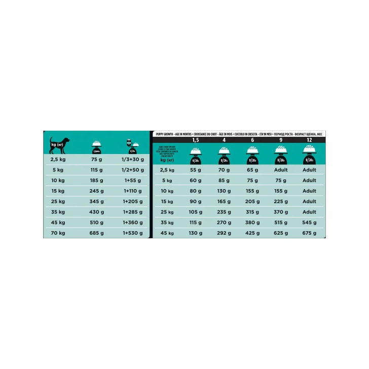 Purina Pro Plan Veterinary Diets Secco Cane EN Gastrointestinal Sacco 12kg
