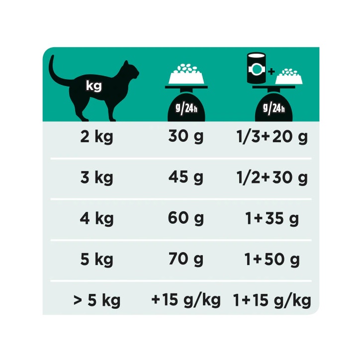 Purina Pro Plan Veterinary Diets Secco Gatto EN Gastrointestinal St/Ox Busta 400g