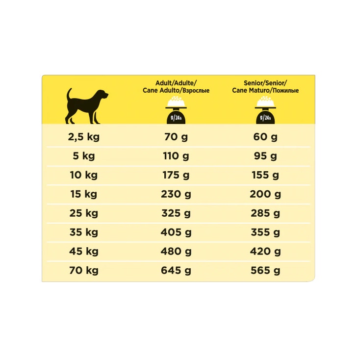 Purina Pro Plan Veterinary Diets Secco Cane NC Neurocare Sacco 12kg