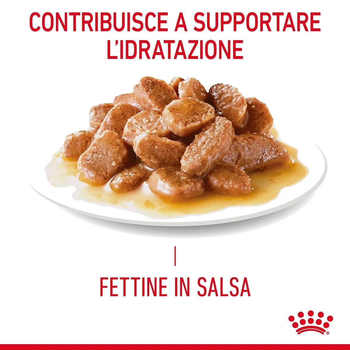 Royal Canin Hair & Skin in Salsa Alimento Umido Per Gatti Adulti Bustina 85g