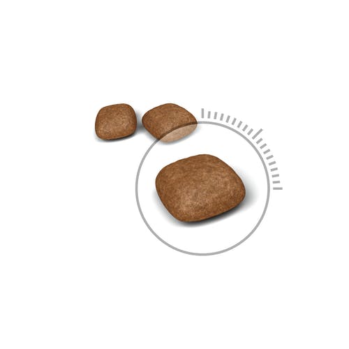 Royal Canin Urinary Care Crocchette Per Gatti 400g