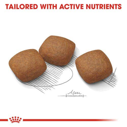 Royal Canin Joint Care Crocchette Per Cani Taglia Grande Sacco 3kg