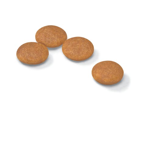 Royal Canin Dermacomfort Crocchette Per Cani Taglia Mini Sacco 3kg