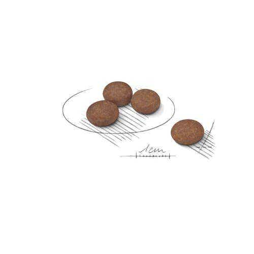 Royal Canin Digestive Care Crocchette Per Cani Mini Sacco 3kg