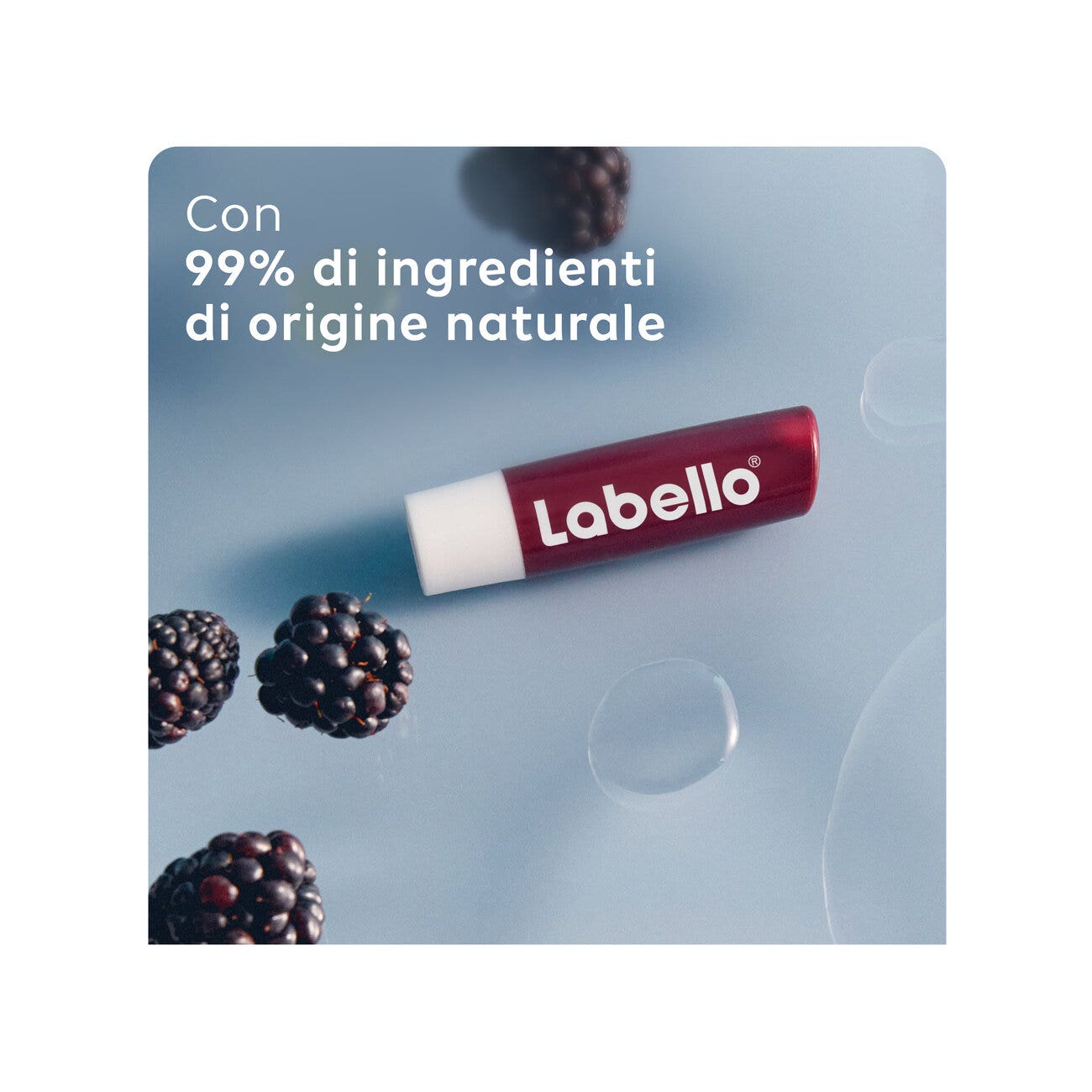 Labello Blackberry Shine Burrocacao Labbra Colorato E Idratante All'aroma Di Mora 4,8g