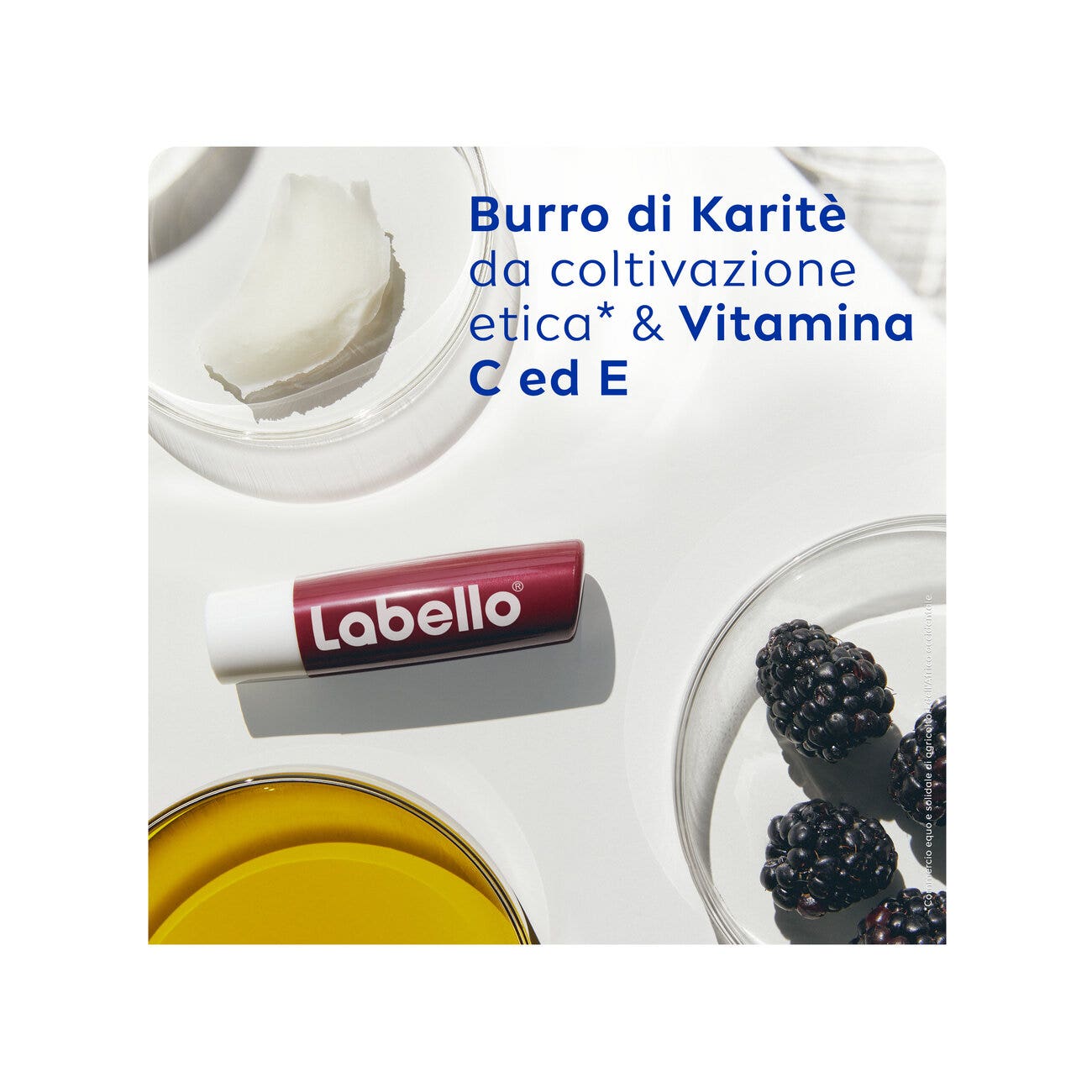 Labello Blackberry Shine Burrocacao Labbra Colorato E Idratante All'aroma Di Mora 4,8g