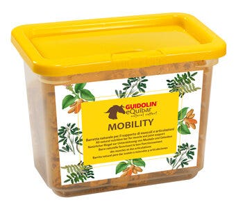 Equibar Mobility 700g