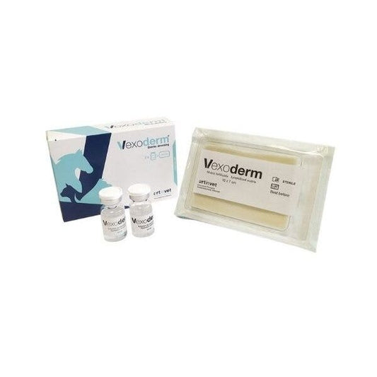 Bfactory Vexoderm Medicazione Sterile 10x7cm + 2 Fiale 10ml