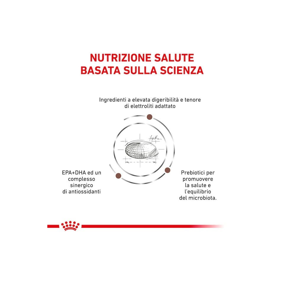 Royal Canin Veterinary Diet Gastrointestinal Cibo Secco Per Cani Adulti Sacco 7,5kg