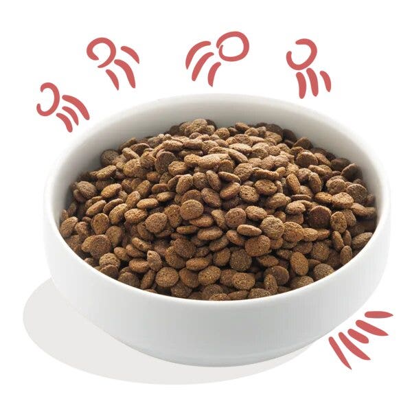 Edgard & Cooper Senior Pollo Allevato A Terra E Salmone Norvegese Senza Cereali Crocchette per Cani 2,5kg