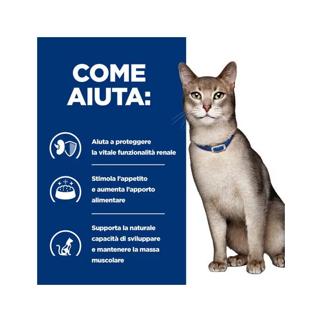 Hill's Prescription Diet K/d Alimento Per Gatti Con Tonno 3kg