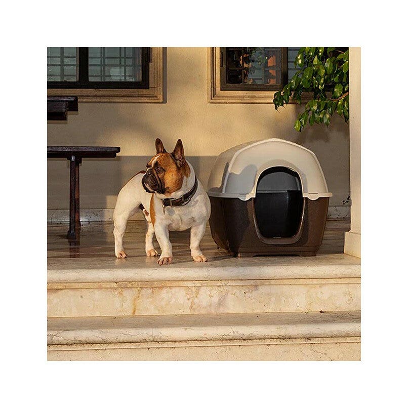 Ferplast Kenny Cuccia In Resina Termplastica Per Cani 50x78xh50cm