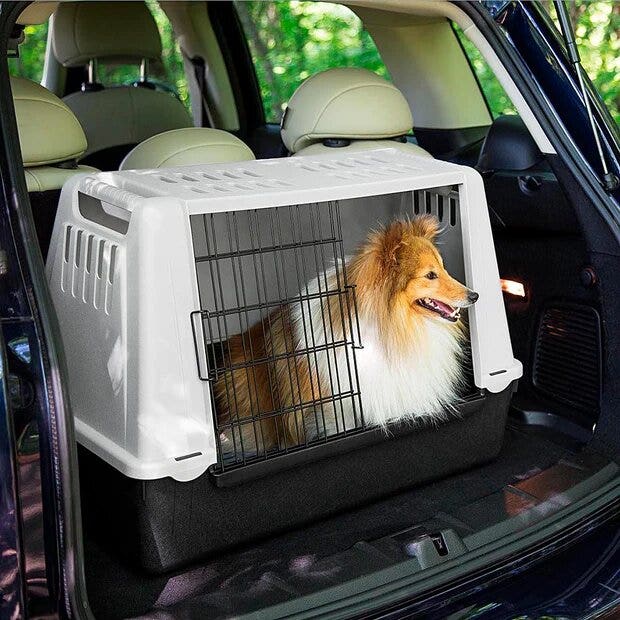 Ferplast Atlas Car Trasportino auto Per Cani Taglia Mini