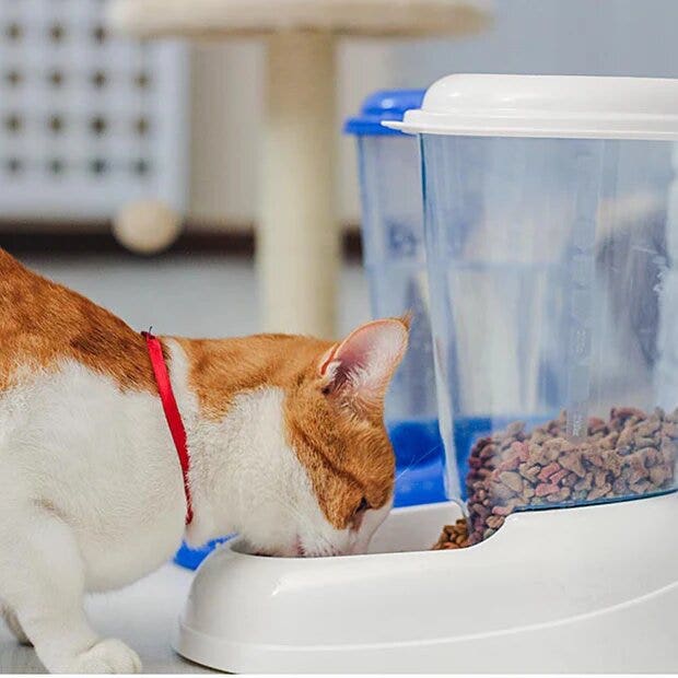 Zenith Distributore Di Crocchette Per Cani E Gatti 3l