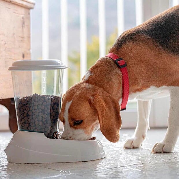 Zenith Distributore Di Crocchette Per Cani E Gatti 3l