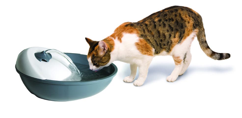 Camon Fontana Automatica Per Cani E Gatti 1,7L