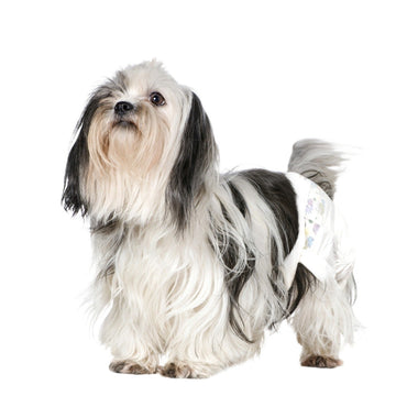 Camon Pannolini A Mutandina Cani Taglia L