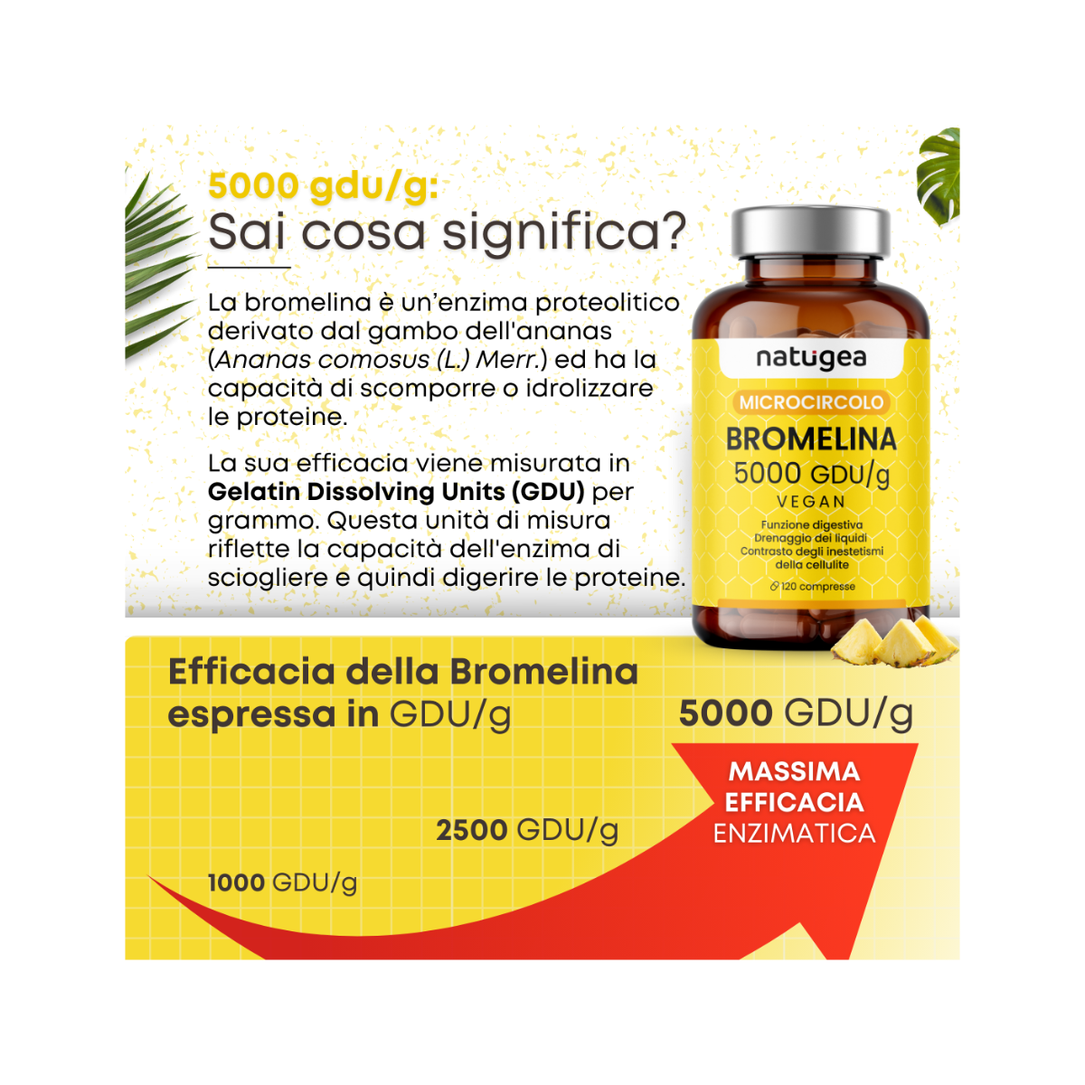 Natugea Bromelina Forte Drenante 5000 GDU/g Vegana Detox Anticellulite 120 Compresse