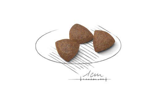 Royal Canin Starter Mother&Babydog Crocchette Per Cagne E Cuccioli Taglia Media Sacco 4kg