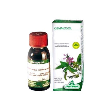 Specchiasol Gemmosol 36 Ribes Nero 50ml