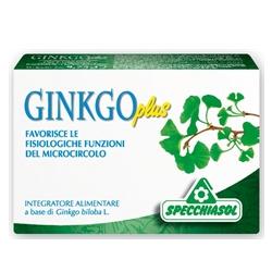 Ginkgo Plus 30cps
