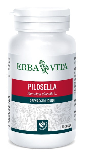 Pilosella 60cps 400mg