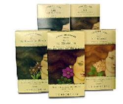 Gel Riflessante Cast Chi 70ml