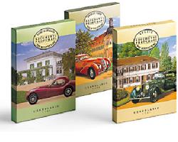 Sacchetto Prof Auto Bouquet Ve