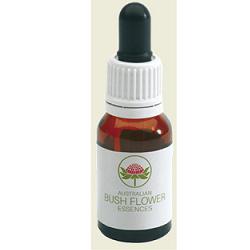 Sundew Australian 15ml Gtt