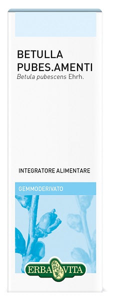 Gemmoderivato Betulla Pub 50ml