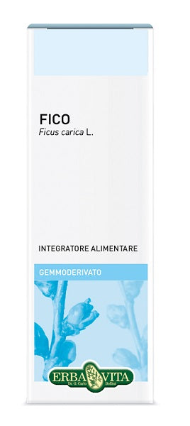 Gemmoderivato Fico 50ml