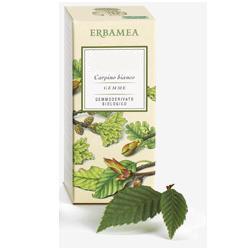 Ficus Carica Gemme Gd Bio