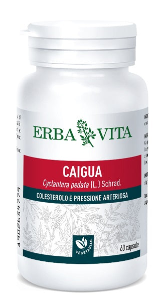 Caigua 60cps 400mg