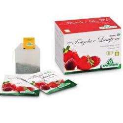 Infuso Fragola/lampone 20filt