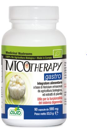Gastro Micotherapy 90cps