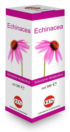 Echinacea Sol Ial Pianta Fr100