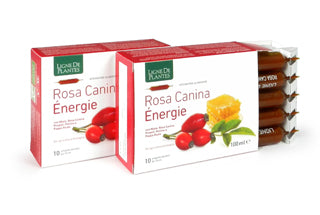 Rosa Canina Energie Bio 10amp