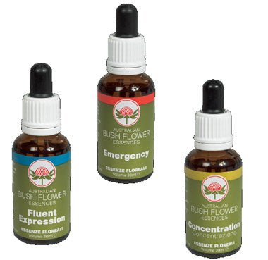 Aus Bush Flowers Box Concentra