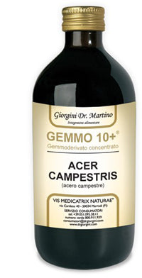 Acero Camp 500ml Analco Gem10+