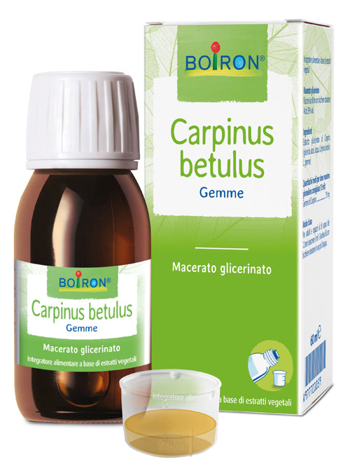 Carpinus Betulus Mg 60ml Int