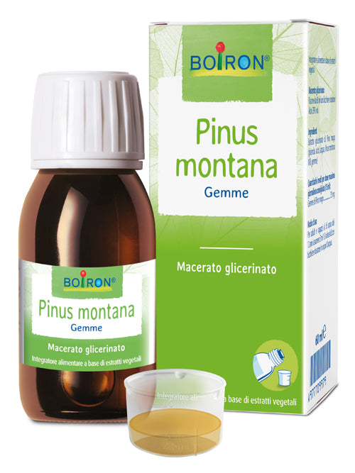 Pinus Montana Mg 60ml Int