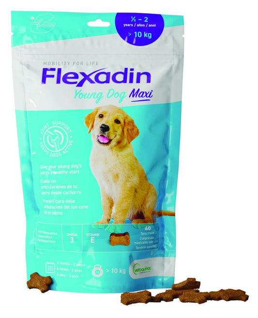 Flexadin Young Mangime Complementare Articolazioni Cani Giovani Taglia Grande 60 Tavolette