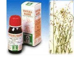 Specchiasol Borsa Del Pastore 4 Tintura Madre 50ml