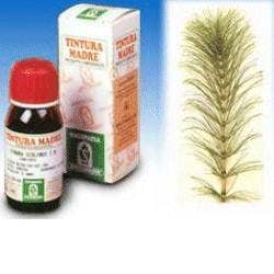 Specchiasol Soluzione idroalcolica 12 Equiseto 50ml