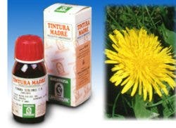 Specchiasol Tarassaco 28 Soluzione Idroalcolica 50ml
