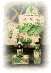 Curcuma 100cps 350mg